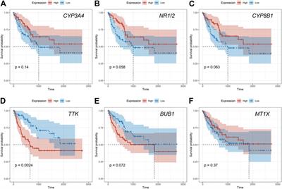 Identification of Potential Biomarkers From Hepatocellular Carcinoma With MT1 Deletion